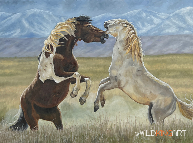 Wild Horses of America