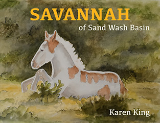 savannah of sand wash basin