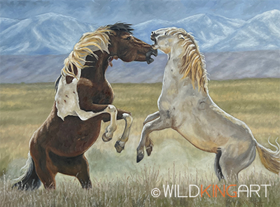 Wild Horses of America